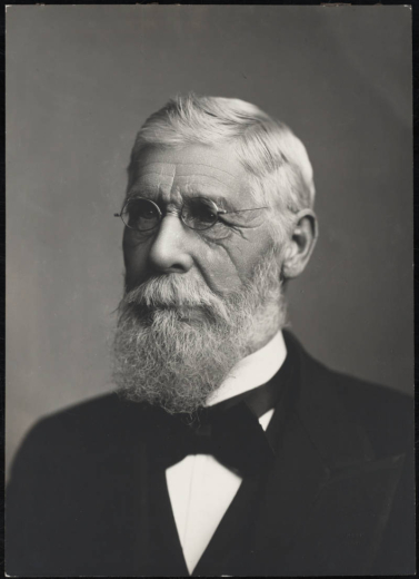 Studio portrait of Davis Hanson Waite, Governor of Colorado and Populist Party member in probably Denver, Colorado. Davis Waite has a beard and moustache and wears a dark suit, bow tie, and oval shaped wire spectacles.