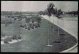 East 17th Avenue Parkway