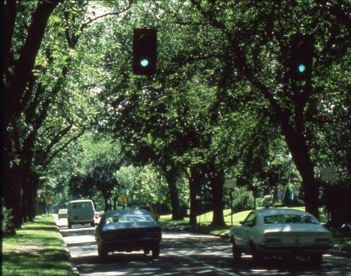 Cars driving along East 6th Avenue Parkway among trees