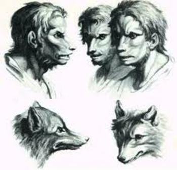 Skinwalkers native deals american