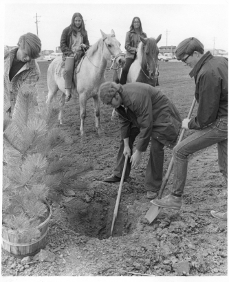 Image from the collection