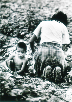 Four-year-old Mike Martinez and his mother work in Brighton field along North Washington Street 1983