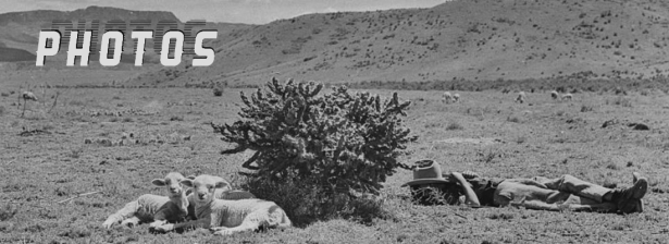 Young sheepherder enjoying siesta ranch in Las Animas County, Colorado
