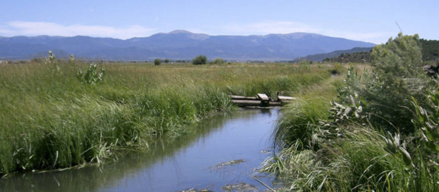 Acequia, Costilla County, Colorado
