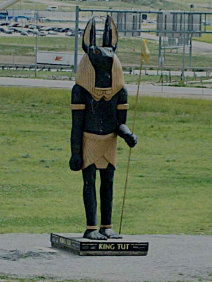 Photo of Anubis