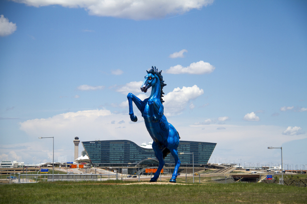 Photo of sculpture Blucifer horse
