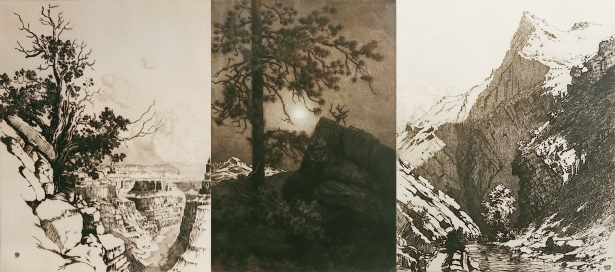 Canyon Rim, Arizona; Misty Moonlight, Estes Park, Colorado; and Bear Creek Canyon, Denver, Colorado