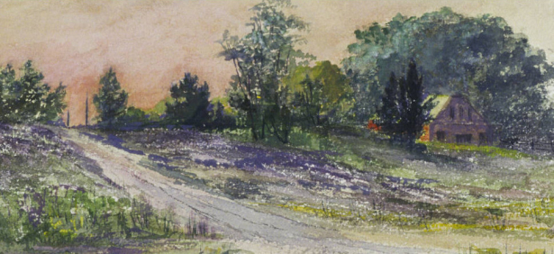 Hillside with purple flowers