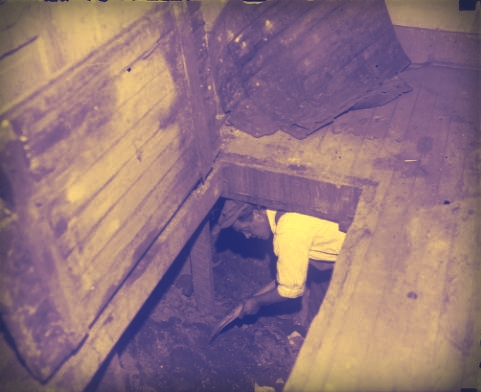 Cellar, undated. Photograph by Harry Mellon Rhoads, Rh-2224