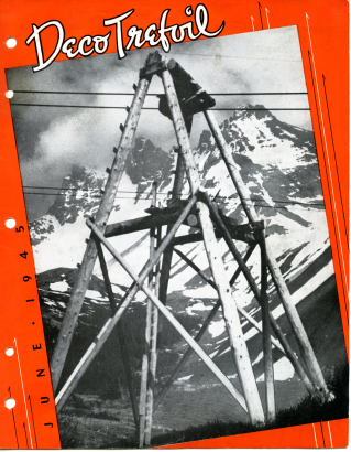 Tram Towers in Canada