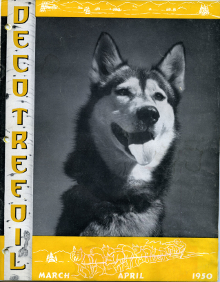 "Nanki," of Stuart Mace's Toklat Husky Kennels, new Aspen, Colorado.