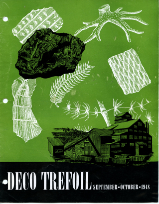 Fossils as the source of coal