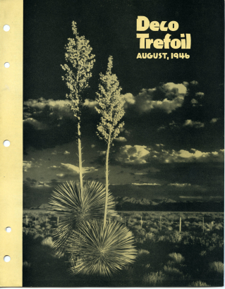 Lily of the Desert ~ State flower of New Mexico