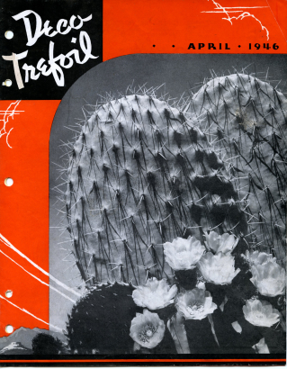 Opuntia Cactus and blooms