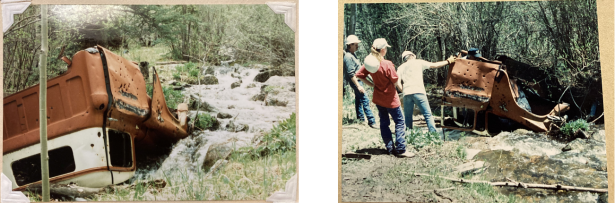 Truck dumped in the wilderness