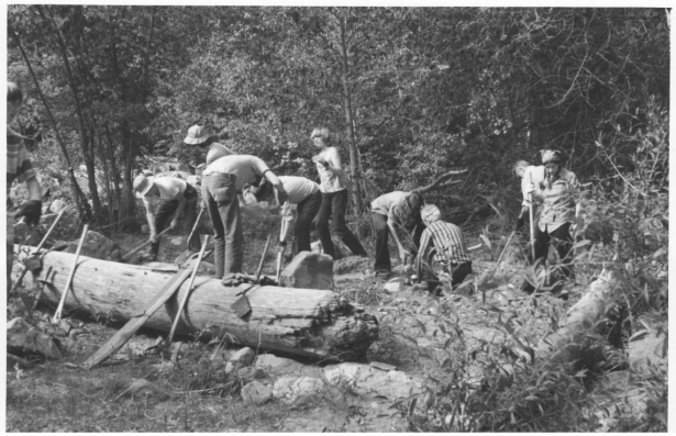 A trail crew removes a fallen tree
