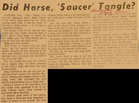Article about horse and saucer 'tangle'