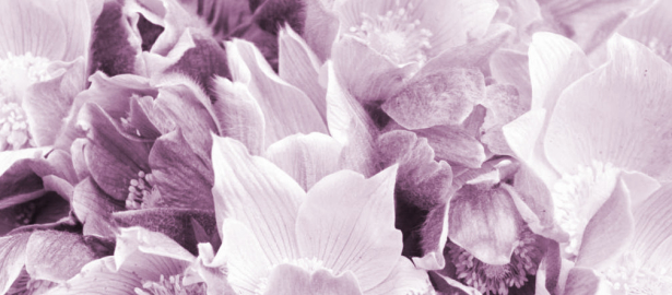 Bowl of Anemones - Detail of 