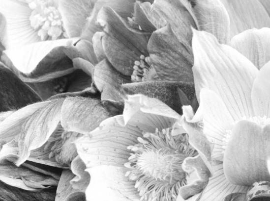 Enlarged detail of MCC-1660