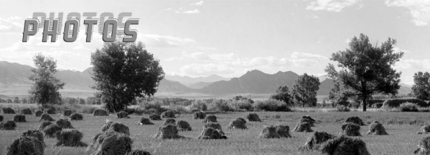 Colorado wheat field on the Colorado & Southern Railway