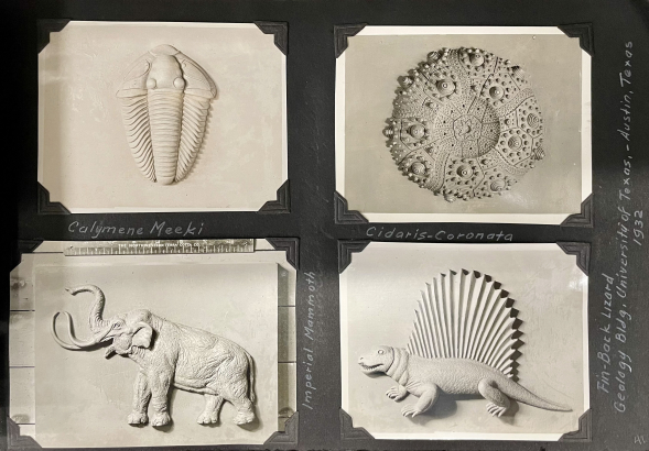 Relief sculpture tiles from the Geology building, University of Texas (Austin, Texas), 1932.  PhotoBox 1, Page: 41, Julius Peter Ambrusch Papers (WH2473)