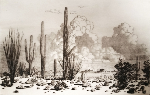 Paradise Valley, Arizona