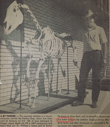 Image of man with horse skeleton