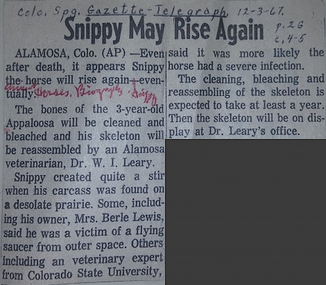 %name La Historia de Snippy, el caballos que supuestamente habría sido muerto por extrañas lucen en el cielo en Valle de San Luis, Colorado, EEUU en 1967