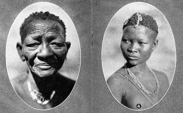 Portraits of women of the Kalahari