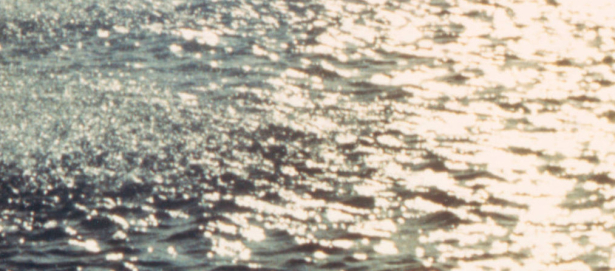 Cherry Creek Shopping Center fountain