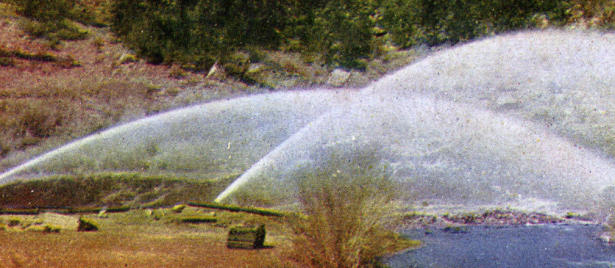 Placer mining, Umcompahgre [sic] Creek, Colorado