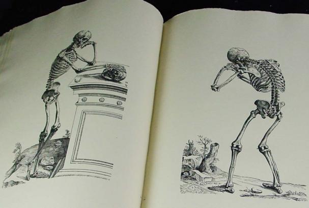 Vesalius Anatomy