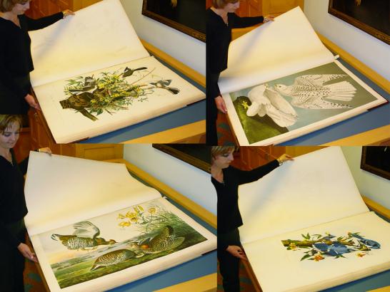 Audubon's "Birds of America"