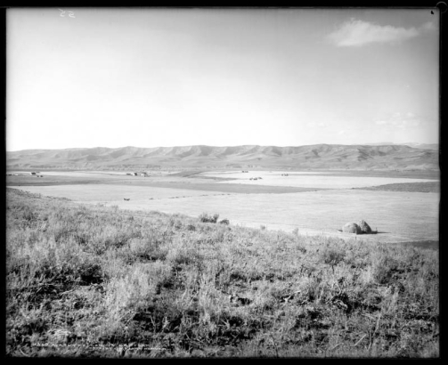 View of a dry farm in Routt County, Colorado; wide expanse of fenced fields with baled hay; two horses graze at center left; farmhouses in distance; hills in background; brush in foreground.