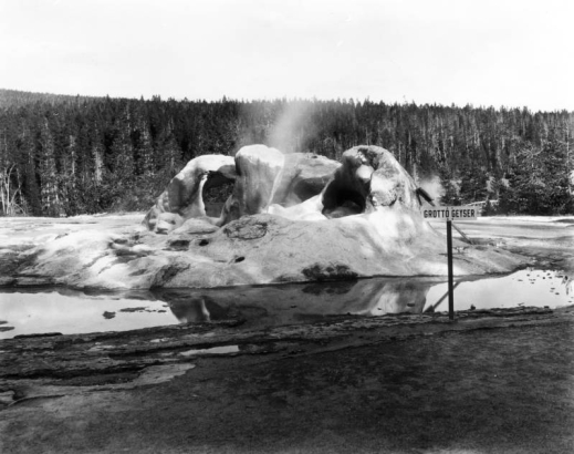 A sign marks Grotto Gesyer, Upper Geyser Basin, Yellowstone National Park, Wyoming; steam rises from the geyserite deposited on the top of trees.