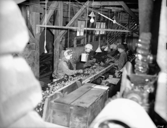 Workers sort rocks on a conveyor belt at a mill building for a London Mine near Alma (Parker County), Colorado. The workers wear heavy gloves and work clothes. One woman wears a scarf decorated with a flag motif. Bare light bulbs hang from the ceilings.