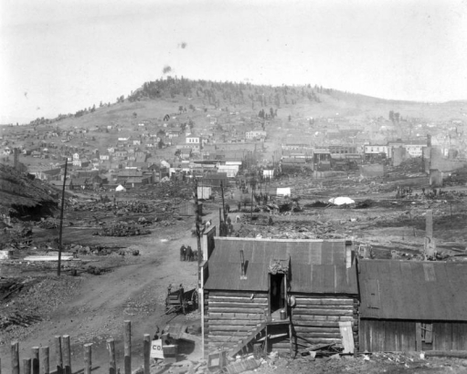 View of devastation after first fire on April 25, 1896, Cripple Creek, Colorado; undamaged log cabin with falsefront and gable roof is located on outside edge of devastated area; scene includes unhitched wagon, men standing in street and sifting through remains, and remaining section of commercial business district.