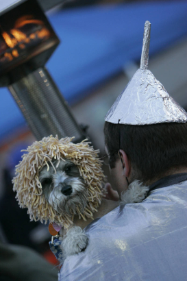 (BG206) Rambo, a schnauzer, dressed like the a lion is held by owner Fred Deichler, CQ, 26, who is dressed as the tin man at the first ever dog costume contest at the Flying Dog Tavern Tuesday, Oct. 31, 2006. All proceeds are to go to MaxFund, a non-pr...