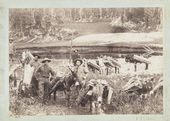 Miners pose with a pack train of burros near a lake or pond in the Red Mountain Mining District in Ouray or San Juan County, Colorado.  Two of the men are African American. The men wear hats, and two smoke pipes. The burros carry split wooden logs. Shows a wooden post  in a cairn.