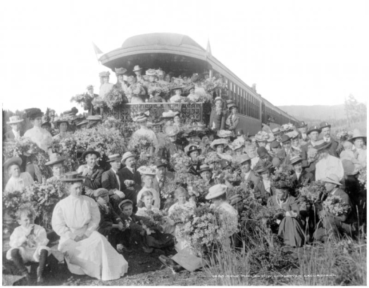 View of large group of men, women & children holding bouquets of wildflowers posed behind Colorado Midland Railway passenger train, somewhere in Colorado; observation car number 111 preserved at Colorado Railroad Museum in Golden, Colorado; wildflower excursion train; copy glass plate attributed to L.C.McClure.