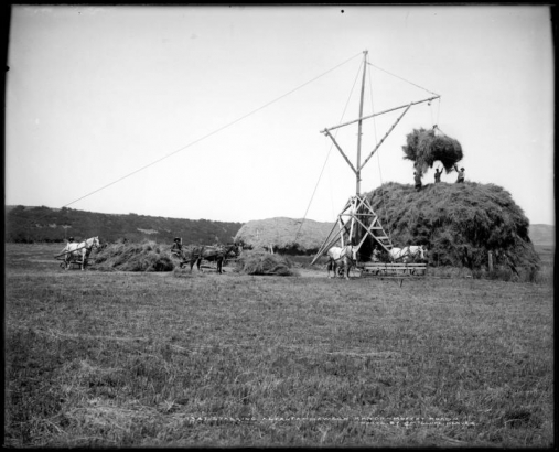 View of agricultural machinery & equipment stacking hay, Dawson Ranch (Routt County) near Hayden, Colorado reached via Denver & Salt Lake Railroad (formerly Denver, Northwestern & Pacific): two teams of horses and  several men working equipment and men on top of haystack. Ranch belonged to early pioneer John Barkley Dawson.