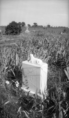 View of a gravestone at the Brighton, Adams County, Colorado, cemetery. A sculpted lamb tops a block with Japanese inscriptions.
