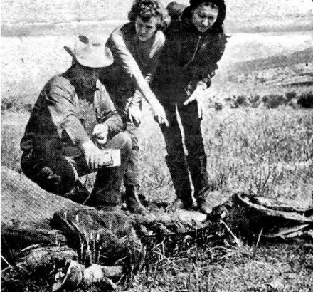 %name La Historia de Snippy, el caballos que supuestamente habría sido muerto por extrañas lucen en el cielo en Valle de San Luis, Colorado, EEUU en 1967