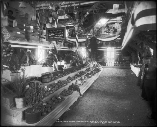Interior view of exhibit building at the Routt County fairgrounds in Hayden, Colorado; produce on shelves includes potatoes, assorted vegetables, and potted plants; bunting, flags, banners, taxidermied animal heads and sheaves decorate the second-floor balcony, rafters, and poles; sign hangs from balcony:  "The Home Bank, The Yampa Valley Bank, Capital Stock $30,000.00."