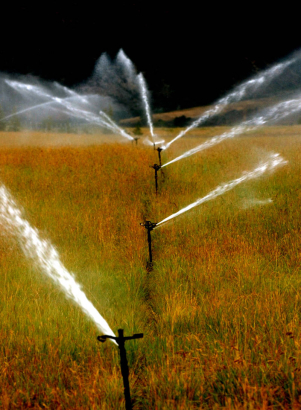 (ASPEN Colo., August 17,2004) Water from the Salvation ditch is used on this ranch to water the hay fields.  The ditch takes water from the Roaring Fork River before the river reaches town. In 2002 not much water got past this ditch, because of the sen...