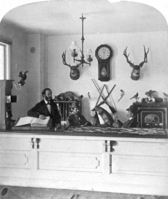 Interior view of the Manitou House Hotel office, in Manitou Springs (El Paso County), Colorado; decor includes taxidermy mounted squirrels, a lynx, a beaver, birds, a rabbit, and deer. A Regulator clock, rifles, pistols, a safe, and a kerosene lamp are on the wall; a man with mutton-chop sideburns rests his arm on the guest book. Men in bowler hats play cards, and a woven runner reads: "Land Office."