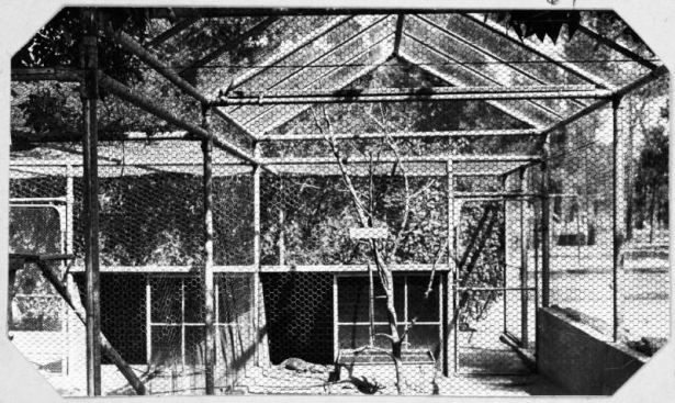 Shows the metal enclosure used for the alligator and gila monster at the Denver Zoo near City Park in Denver, Colorado. Neither animal is visible.