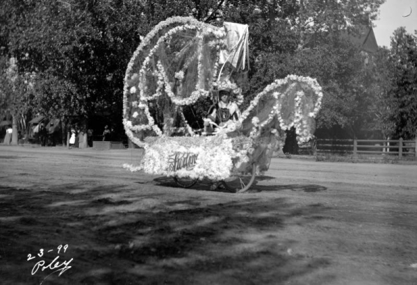 Sunflower Carnival Parade, Colorado Springs, Colorado: a man poses with a bicycle that is covered with a large seahorse-shape frame and decorated in flowers and netting. A flag hangs from the top that reads: "The Sterling Bicycle, Built Lik[e] a Watch."; sign on side of bicycle reads: "Sterling." The man wears a costume with flowers and a large hat.
