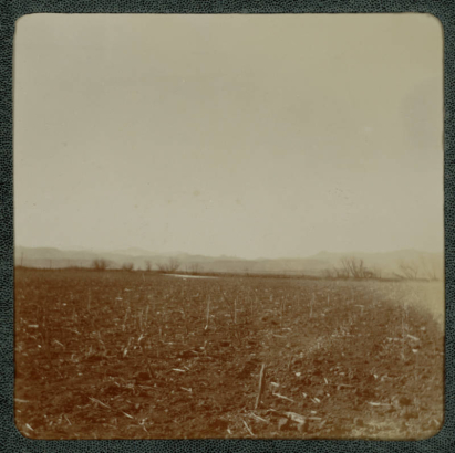 View of a field of harvested corn possibly near Denver, Colorado.