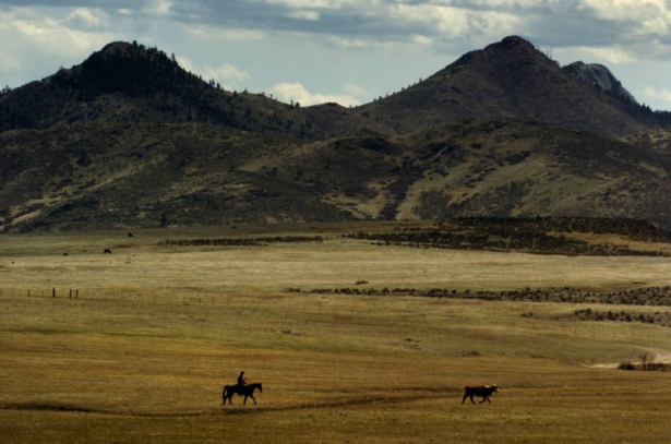 Mountains in the distance over an open plain